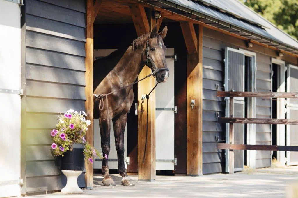 Paardenhotel Putten
